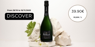 Ayala Version. EN - 315x157 (2).jpg